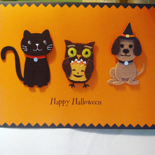 Thrift Store «Second Blessing Thrift Store Inc.», reviews and photos, 2323 Central Ave, Wichita, KS 67214, USA