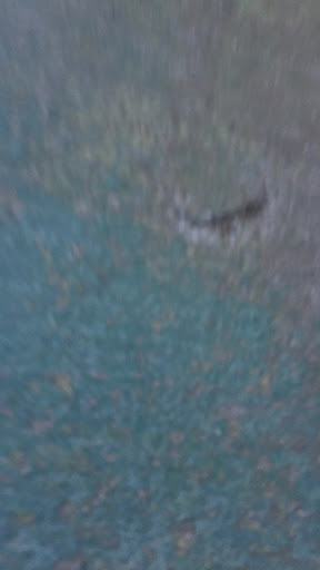 Amusement Park «CrackerJax», reviews and photos, 16001 N Scottsdale Rd, Scottsdale, AZ 85254, USA