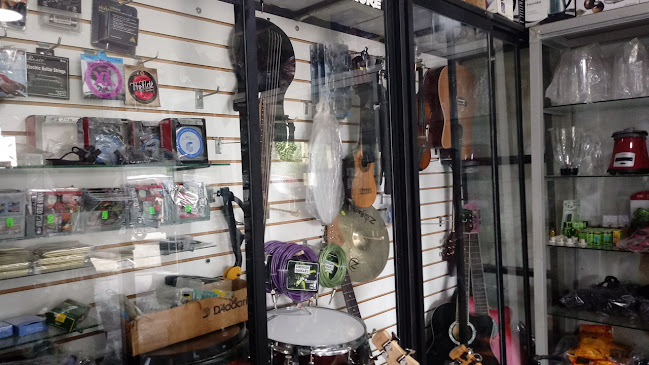 Servicios DELGADO - Tienda de instrumentos musicales