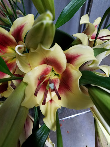 Florist «J SCOTTS AFLORIST», reviews and photos, 130 Strickland Dr, Orange, TX 77630, USA