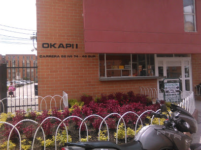 Conjunto Residencial Okapi I