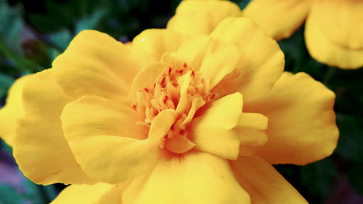 Home Improvement Store «Menards», reviews and photos, 1100 Avenue of Mid-America, Effingham, IL 62401, USA