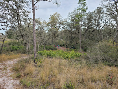 Green Swamp Wilderness Preserve - West Tract