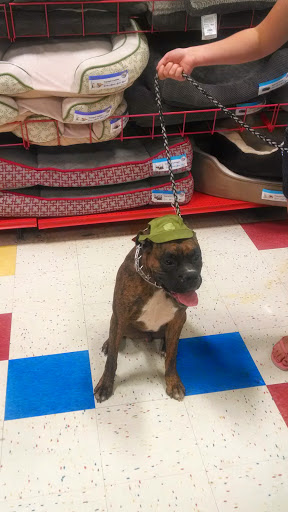 Pet Supply Store «Petco», reviews and photos, 149 Gravois Bluffs Plaza Dr, Fenton, MO 63026, USA