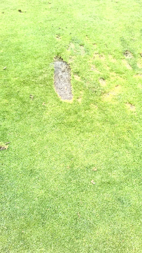 Golf Course «Willamette Valley Country Club», reviews and photos, 900 Country Club Pl, Canby, OR 97013, USA