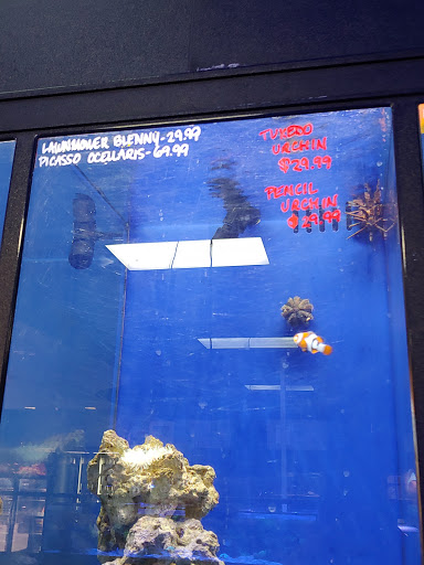 Tropical Fish Store «Pisces Reef Fish Emporium, LLC», reviews and photos, 9326 W Sahara Ave, Las Vegas, NV 89117, USA