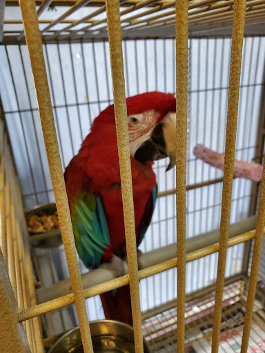 Pet Store «A Family Pet Center», reviews and photos, 6230 N Lockwood Ridge Rd, Sarasota, FL 34243, USA