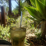 Photo n°12 de l'avis de Ana.a fait le 29/07/2020 à 18:22 sur le  Zavial à Vila do Bispo