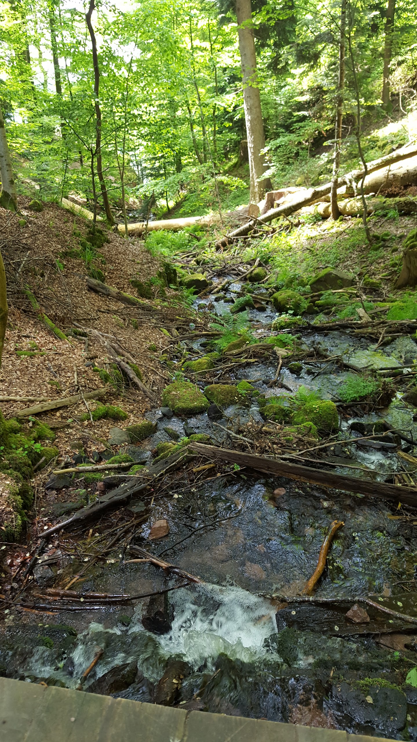 Photo n° 1 de l'avis de Aurelien.p fait le 25/05/2017 à 18:33