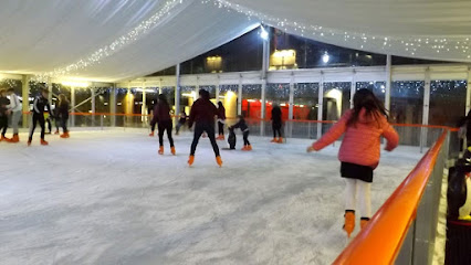 Ice skating club