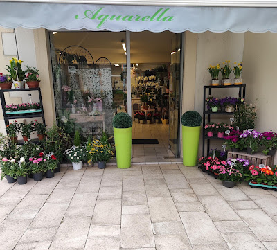 Aquarella à Saint-Loubès