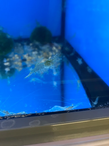 Pet Supply Store «Pet Supplies Plus», reviews and photos, 2912 Council Tree Ave #100, Fort Collins, CO 80525, USA