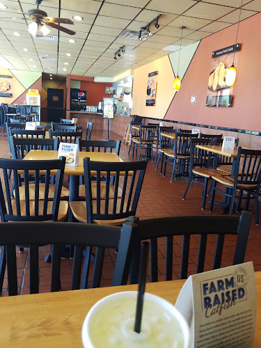 Golden Chick