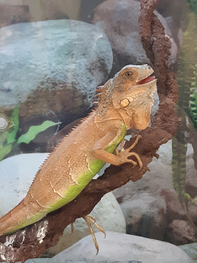 Pet Supply Store «Petco Animal Supplies», reviews and photos, 2805 E 29th Ave, Spokane, WA 99223, USA