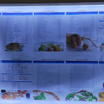 Photo n°3 de l'avis de Mauro.. fait le 10/07/2023 à 22:09 sur le  Ristorante Pizzeria da Fabrizio à Grottammare