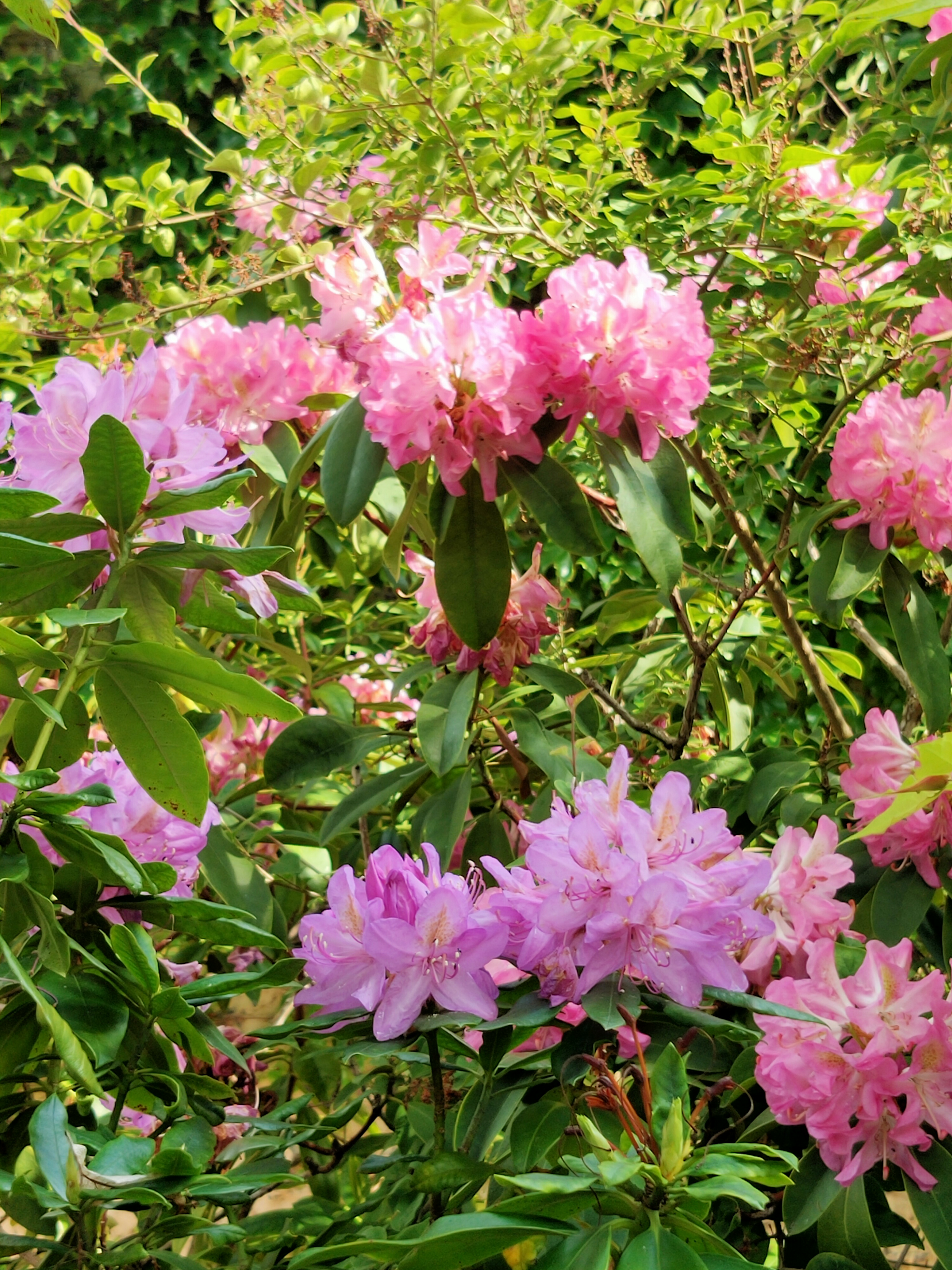 Photo n° 2 de l'avis de Juliette.e fait le 08/06/2022 à 08:02