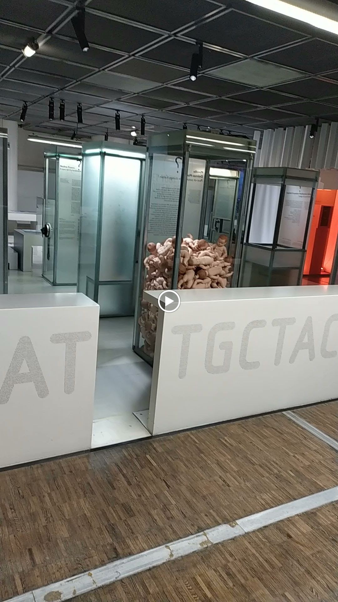 Photo n° 33 de l'avis de Cyanopsie.E fait le 14/01/2024 à 21:11