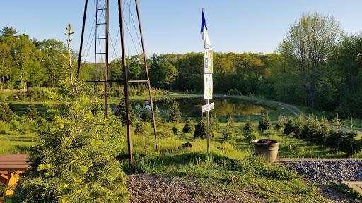 Outdoor Sports Store «Maple Hill Disc Golf», reviews and photos, 132 Marshall St, Leicester, MA 01524, USA