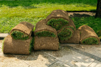 Millennium Lawn Care Service - Photo 2 - Car repair in , Tulsa