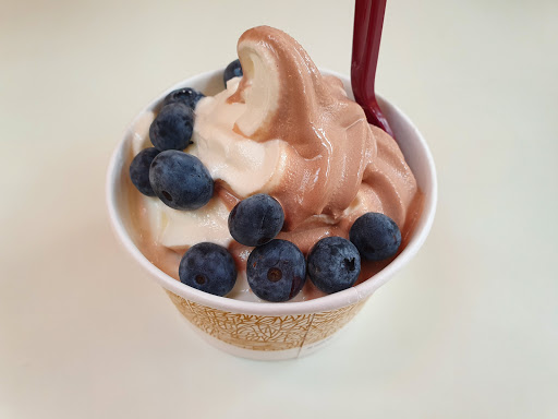 Ice Cream Shop «Haagen-Dazs», reviews and photos, 4200 Conroy Rd, Orlando, FL 32839, USA