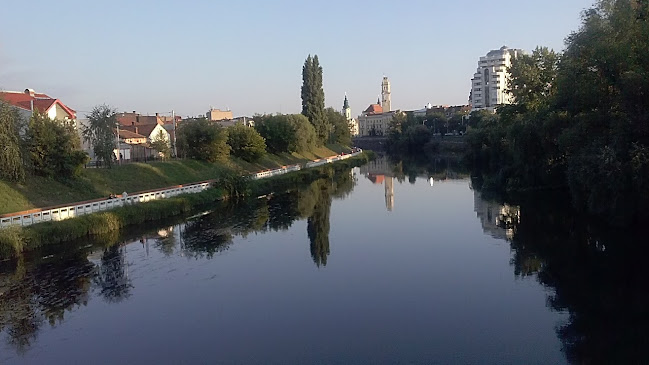 Strada Ștefan Simion 3, Oradea 410195, România