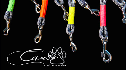 Cira*s pimp your dog unter Schrobenhausen, 