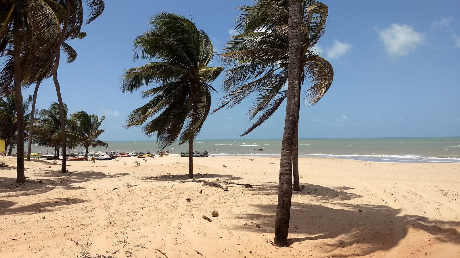 Fotografie cu Praia de Zumbi - locul popular printre cunoscătorii de relaxare