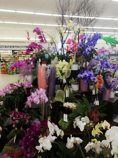 Grocery Store «Albertsons», reviews and photos, 6755 Westminster Ave, Westminster, CA 92683, USA