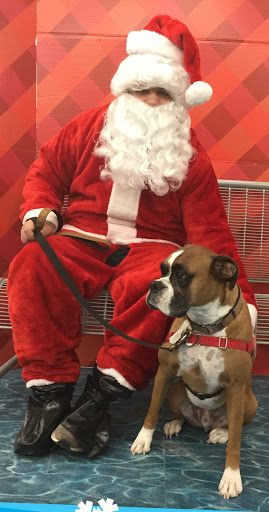 Pet Supply Store «Petco Animal Supplies», reviews and photos, 13701 Lakeside Cir, Sterling Heights, MI 48313, USA