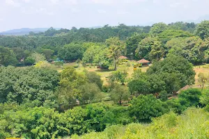 Kanjirapuzha Garden image