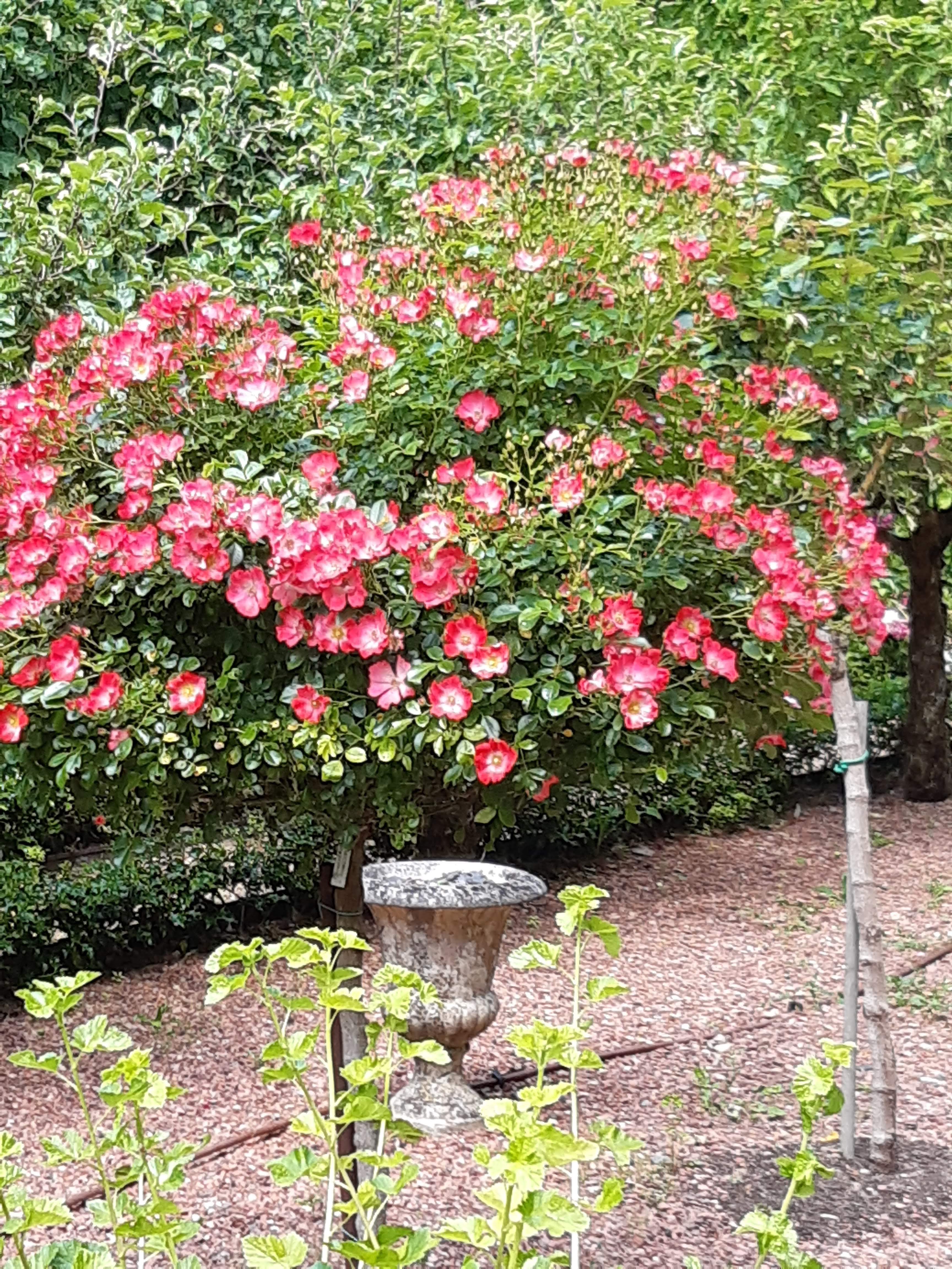 Photo n° 26 de l'avis de Patrice.a fait le 13/06/2021 à 16:03