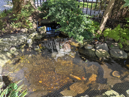 Museum «Voelker Orth Museum», reviews and photos, 14919 38th Ave, Flushing, NY 11354, USA