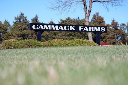 Cammack Farms Inc
