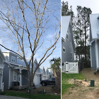 Wilmington Landscaping and Tree Care - Photo 9 - Car repair in , Wilmington