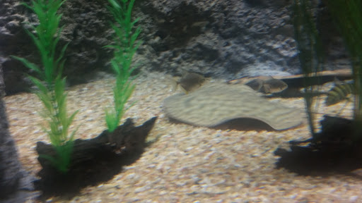 Tourist Attraction «OdySea Mirror Maze», reviews and photos, 9500 East Vía de Ventura #200, Scottsdale, AZ 85256, USA