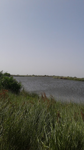 Golf Club «Palmilla Beach Golf Club», reviews and photos, 258 Snapdragon, Port Aransas, TX 78373, USA