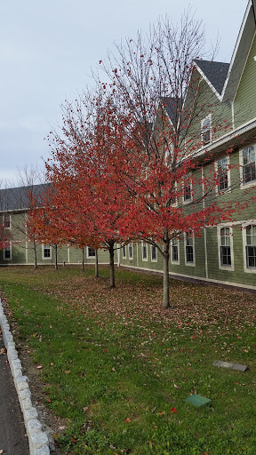 Tourist Attraction «Emerson Kaleidoscope», reviews and photos, 5340 NY-28, Mt Tremper, NY 12457, USA