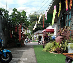 Green House Backpacker photo