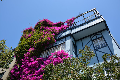 Clothing Store «Ross Dress for Less», reviews and photos, 2550 Taylor St, San Francisco, CA 94133, USA