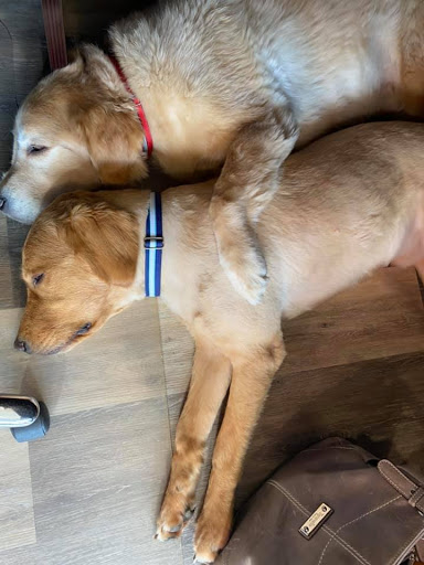 Insurance Agency «Kristy Hayduk - State Farm Insurance Agent», reviews and photos