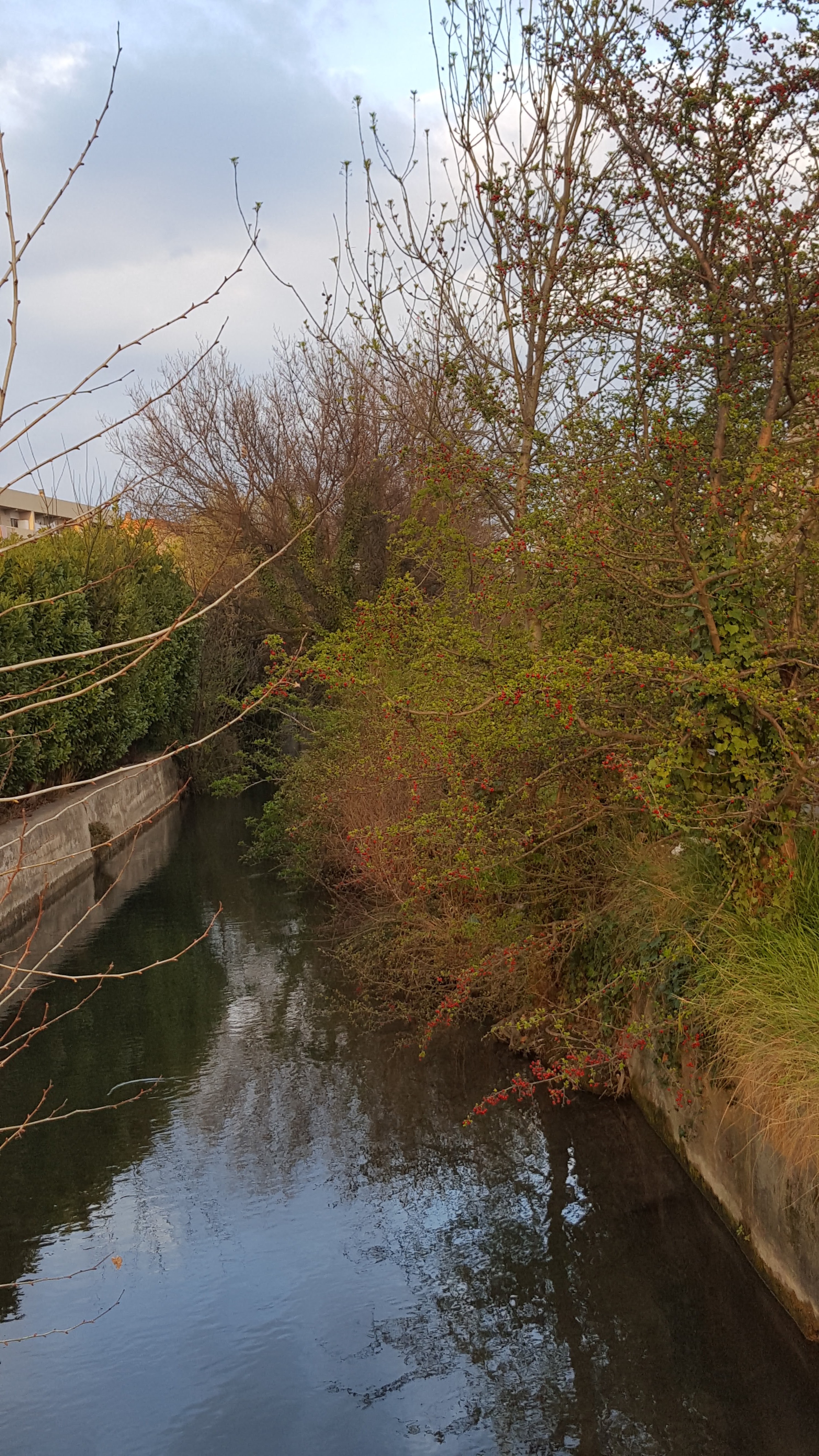 Photo n° 1 de l'avis de Lina.a fait le 26/03/2018 à 17:01