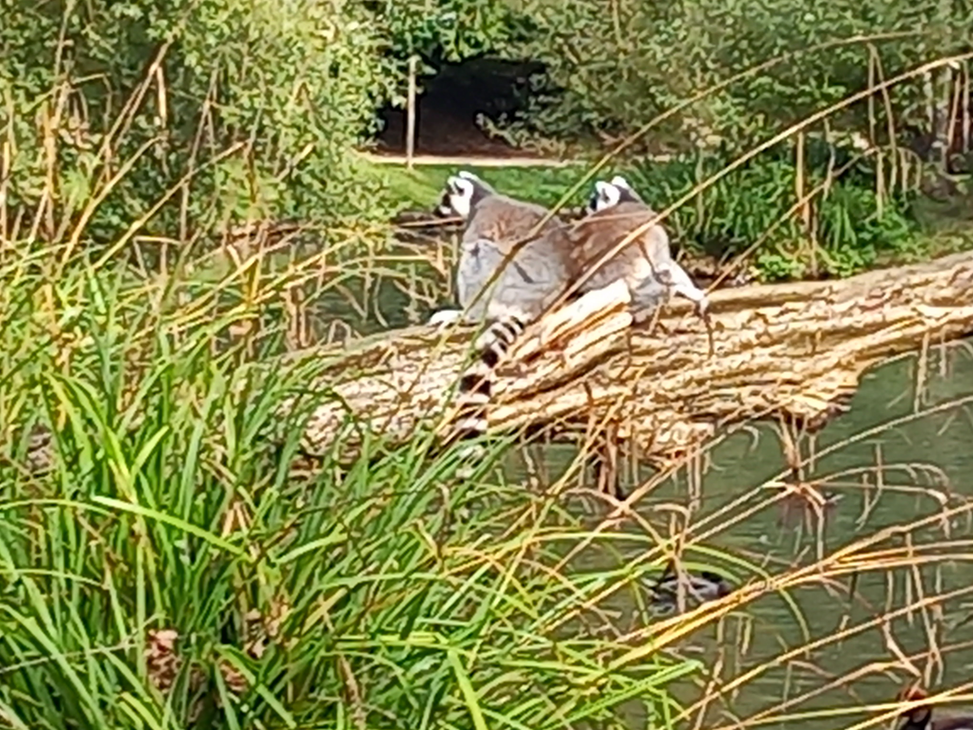 Photo n° 36 de l'avis de Julien.a fait le 11/10/2023 à 18:47