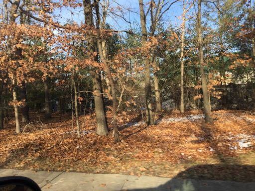 Self-Storage Facility «The Lock Up Self Storage», reviews and photos, 380 Mark Tree Rd, Setauket- East Setauket, NY 11733, USA