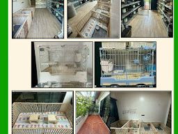 Rabbitry Villa22 กระต่ายชลบุรี&โรงแรมกระต่าย