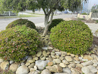 REAL Landscaping and hauling - Photo 3 - Car repair in , Durham