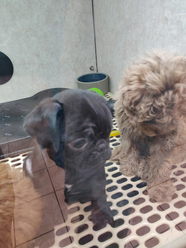 Pet Store «Pet City Pet Shops», reviews and photos, 750 Citadel Dr N # 2092, Colorado Springs, CO 80909, USA