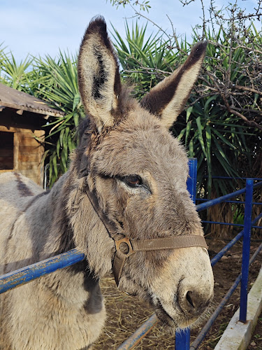 Opinii despre Γαϊδουροχώρα - Το Ελληνικό Κέντρο για το Γαϊδούρι în Κρωπία - Ένωση