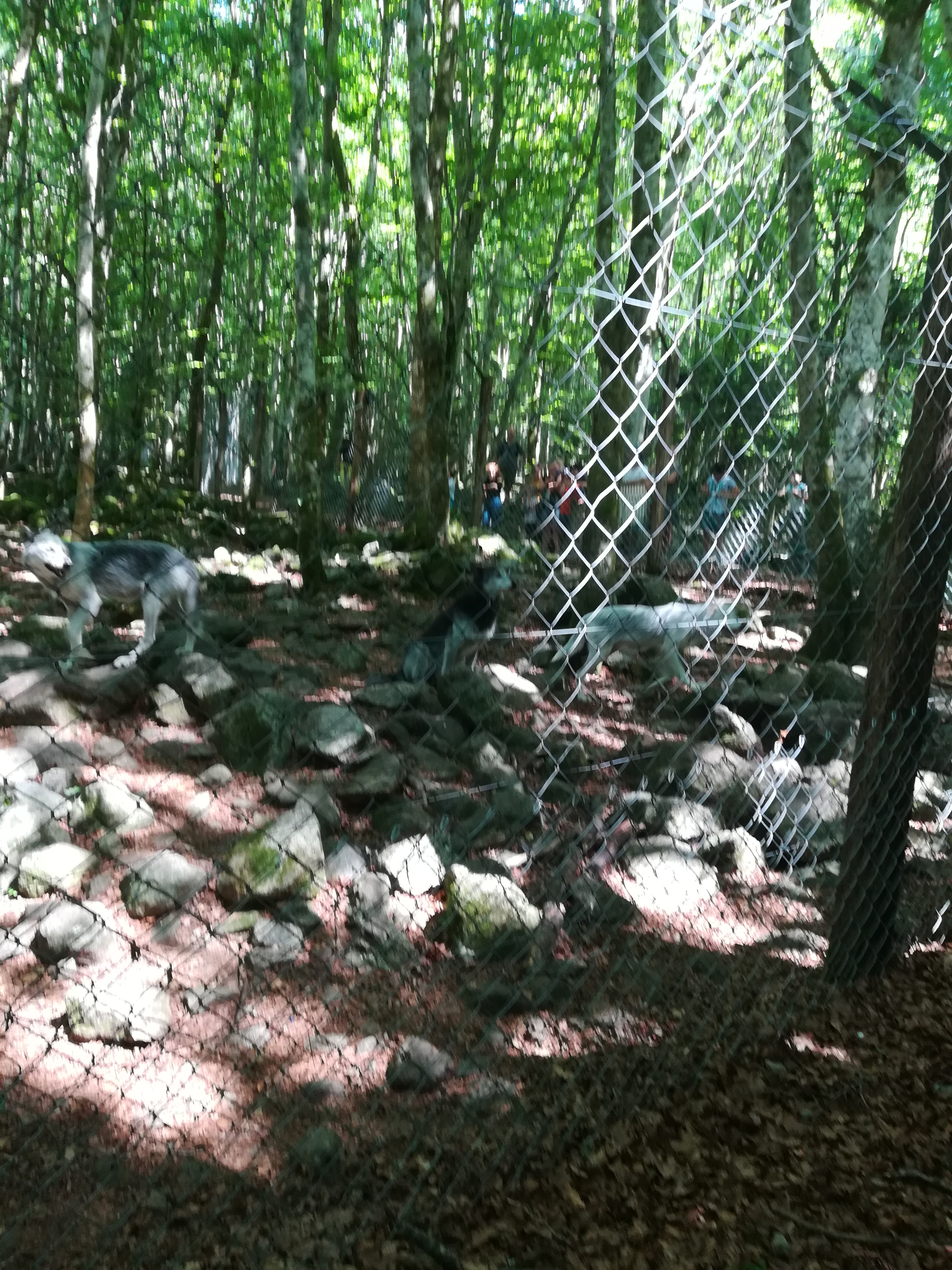 Photo n° 24 de l'avis de Audrey.� fait le 28/07/2017 à 17:11