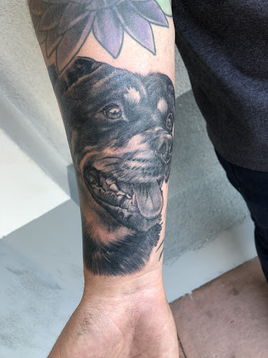 Tattoo Shop «The Gilded Lily Tattoos», reviews and photos, 2429 Mission St C, Santa Cruz, CA 95060, USA