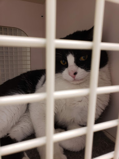 Pet Supply Store «Petco Animal Supplies», reviews and photos, 6596 Youree Dr, Shreveport, LA 71105, USA